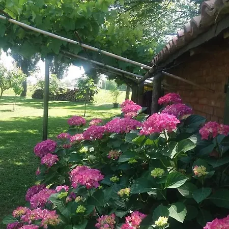 Bed & Breakfast Il Naviglio Di Antonelli Fabio *
